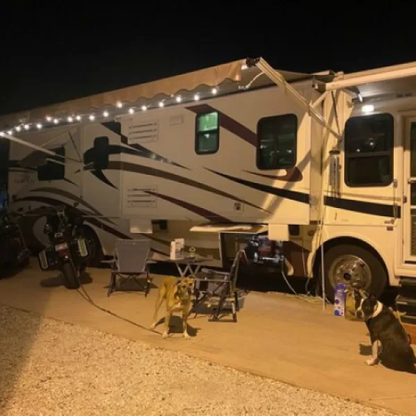 The Palms RV Resort