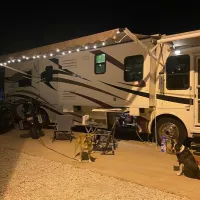 the-palms-rv-resort-yuma-pnvez