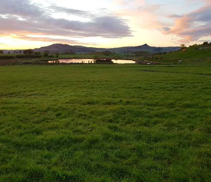brooklyn-grange-farm-leek-mqsye