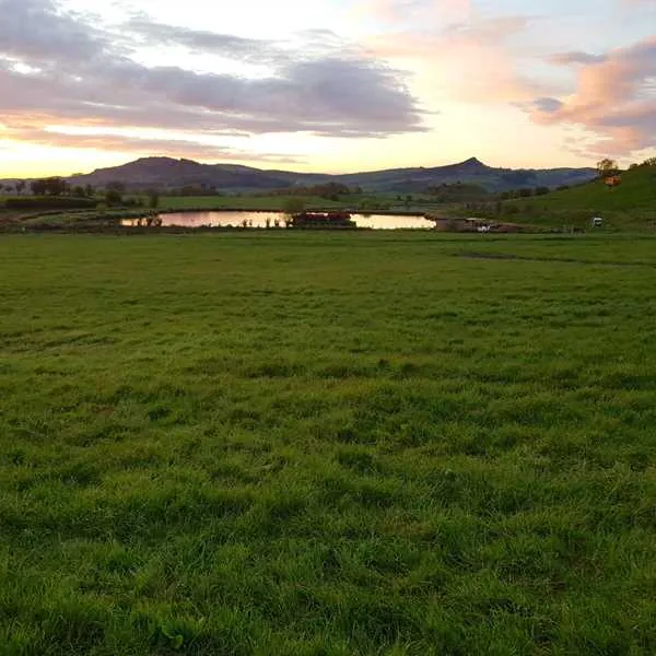 brooklyn-grange-farm-leek-mqsye