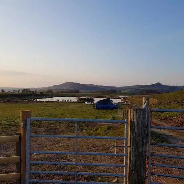 brooklyn-grange-farm-leek-qsgor
