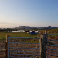brooklyn-grange-farm-leek-qsgor