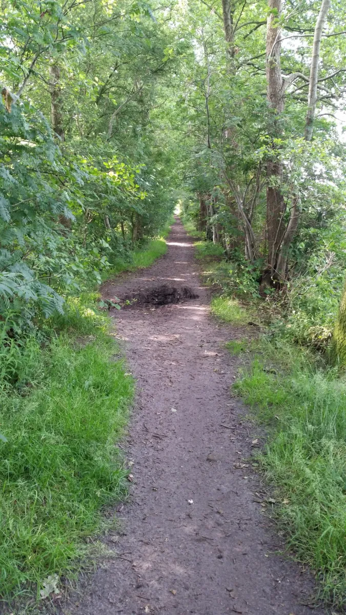 t-trekkersveld-noordwolde-xs4xy