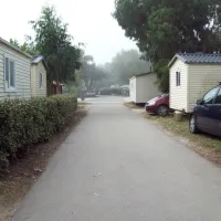 Le Pansard