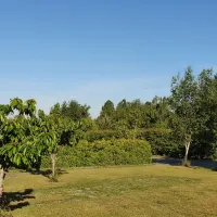 fredriksbergs-kursgard-och-camping-ystad-gykek