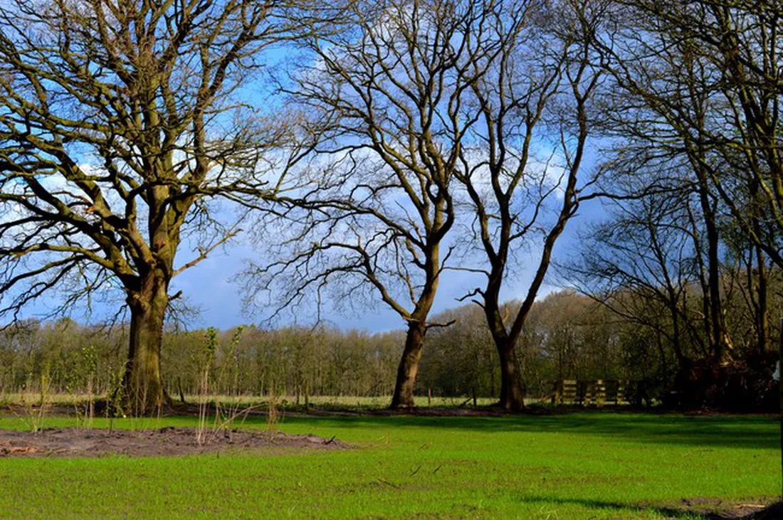 landgoedcamping-buiten-midlaren-feczb