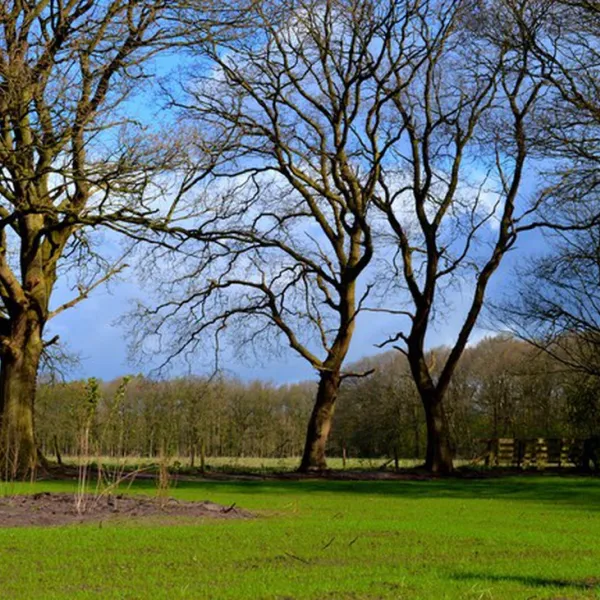 landgoedcamping-buiten-midlaren-feczb