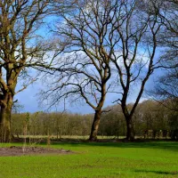 landgoedcamping-buiten-midlaren-feczb