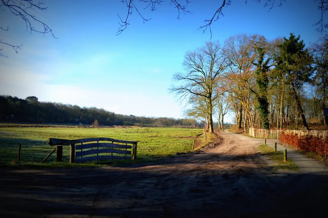 landgoedcamping-buiten-midlaren-qrdwg