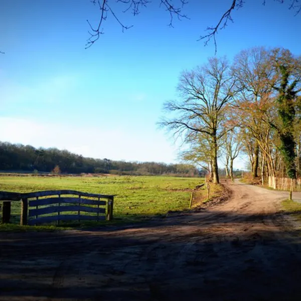 landgoedcamping-buiten-midlaren-qrdwg