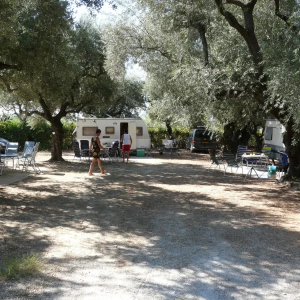 Laganas