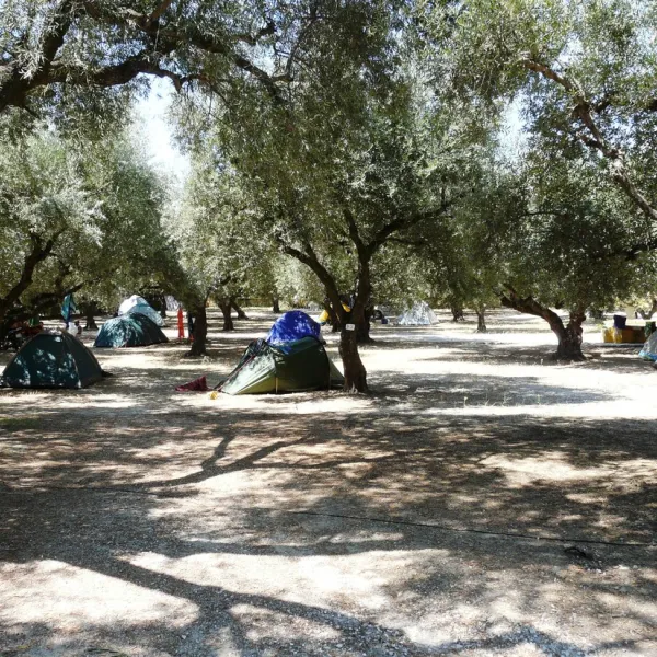 laganas-zakynthos-stad-ynjq2