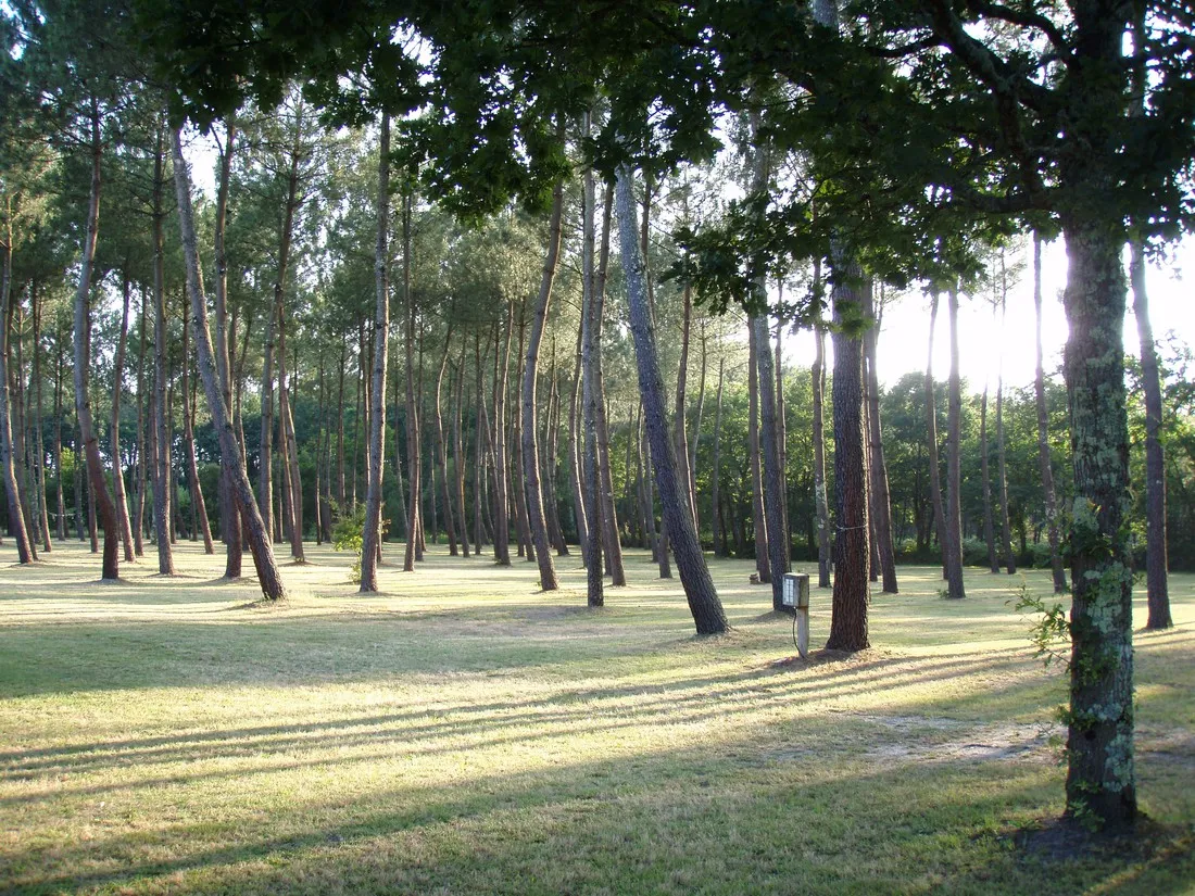 ferme-lacoussade-lit-et-mixe-landes-clg1v