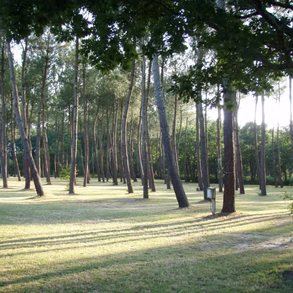 ferme-lacoussade-lit-et-mixe-landes-clg1v
