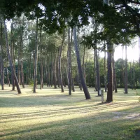 ferme-lacoussade-lit-et-mixe-landes-clg1v