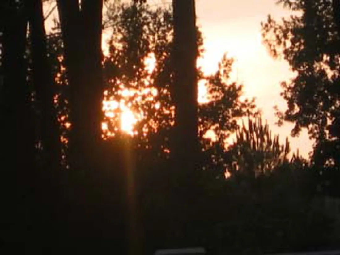 ferme-lacoussade-lit-et-mixe-landes-lzalg
