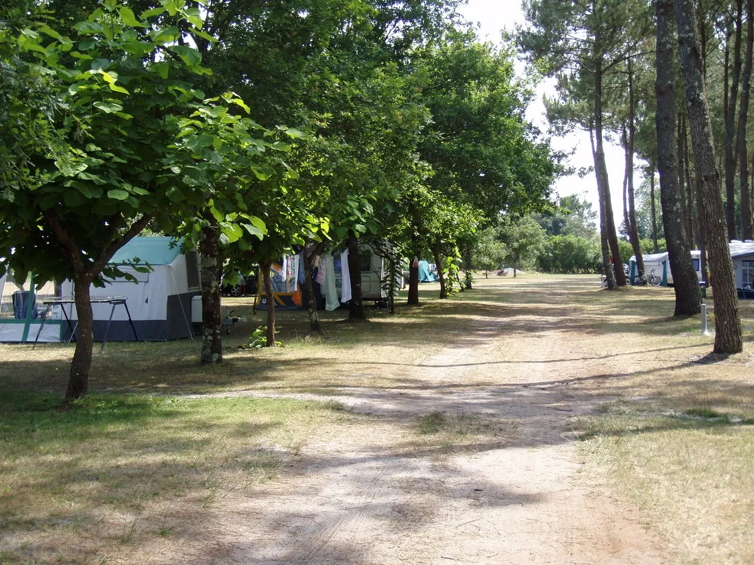 ferme-lacoussade-lit-et-mixe-landes-zyrw5