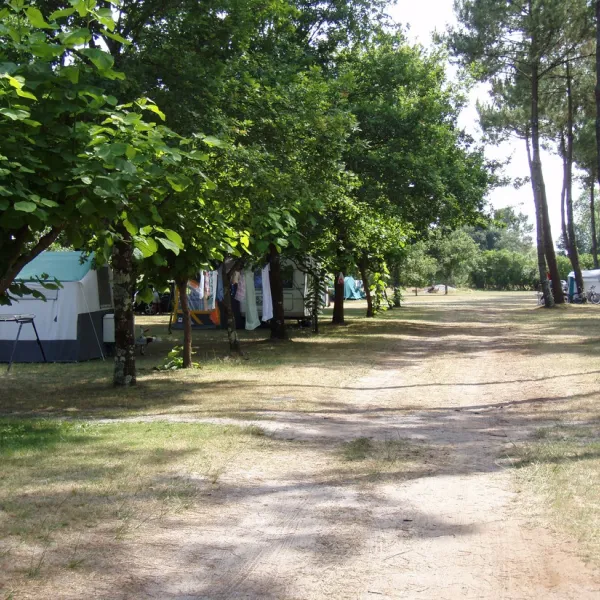 ferme-lacoussade-lit-et-mixe-landes-zyrw5