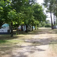 ferme-lacoussade-lit-et-mixe-landes-zyrw5