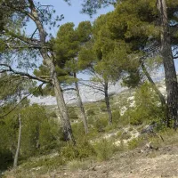 municipal-le-cezanne-chateauneuf-le-rouge-ubjqa