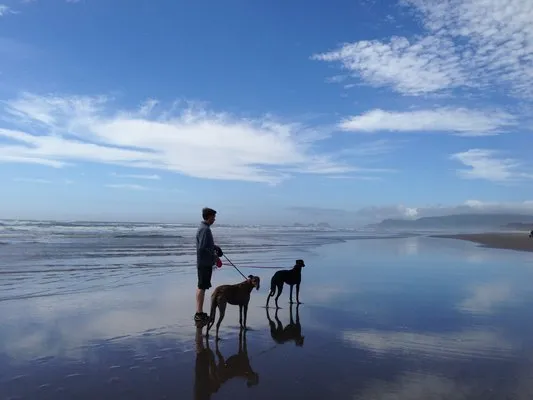 cape-lookout-state-park-tillamook-sn09b