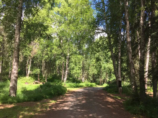 south-rolly-lake-campground-willow-ghyuj