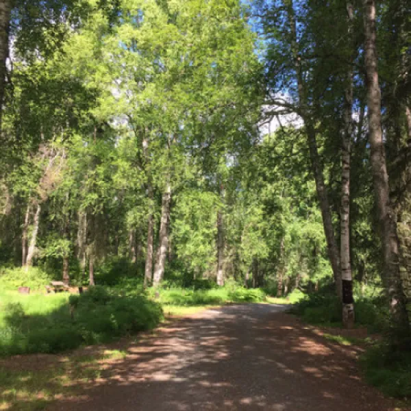 south-rolly-lake-campground-willow-ghyuj