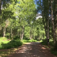 south-rolly-lake-campground-willow-ghyuj