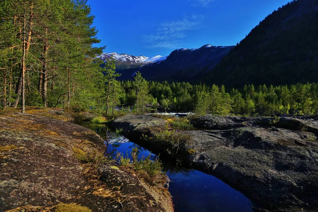 flateland-camping-og-hyttesenter-valle-u5vx2
