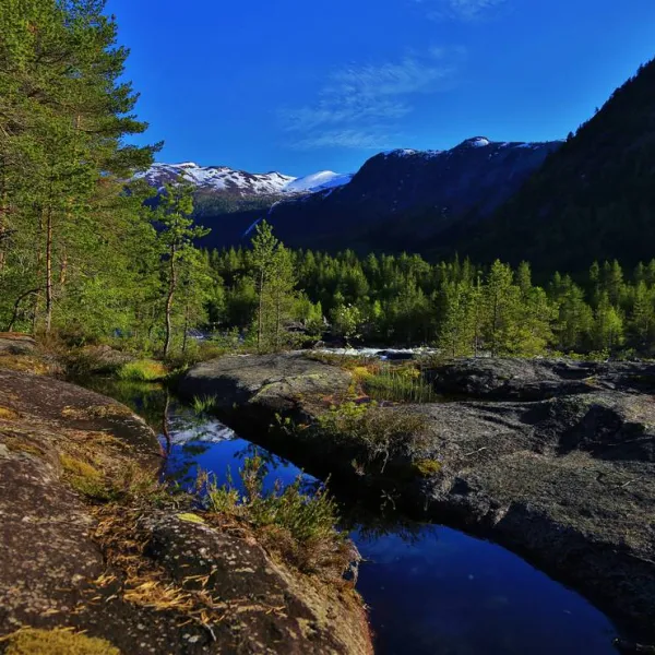 flateland-camping-og-hyttesenter-valle-u5vx2