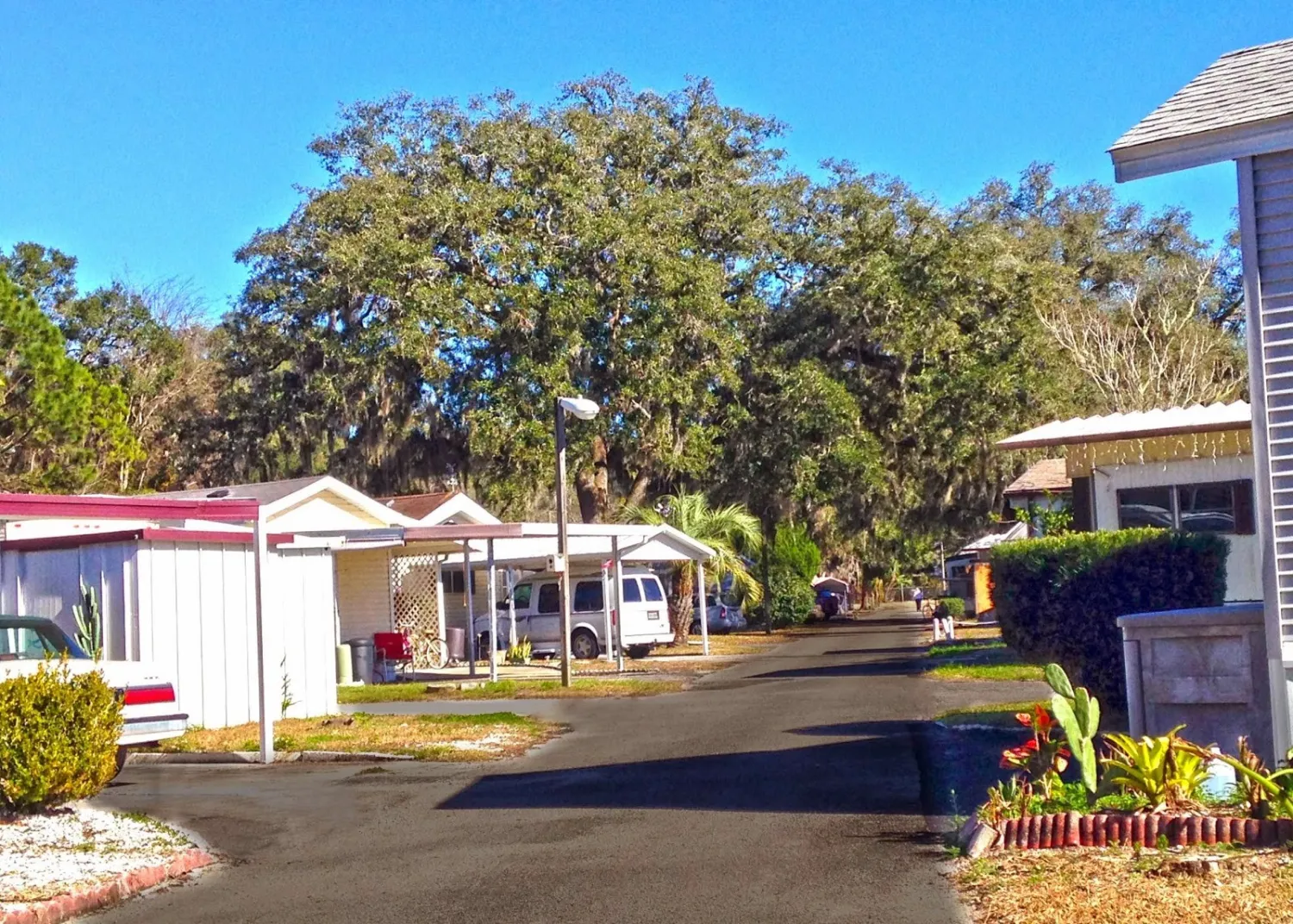 silver-springs-campers-gardens-silver-springs-fvaxu