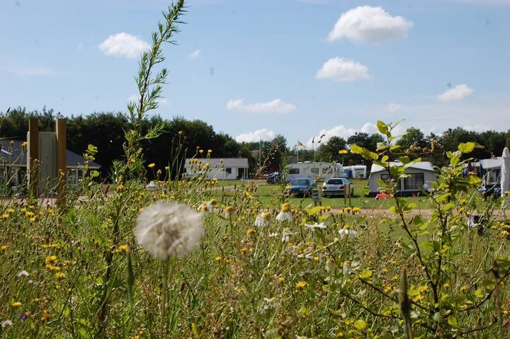 arrild-ferieby-camping-arrild-sayeu