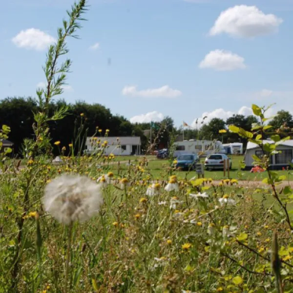 arrild-ferieby-camping-arrild-sayeu