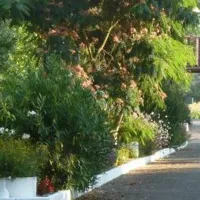 Camping Les Berges du gers