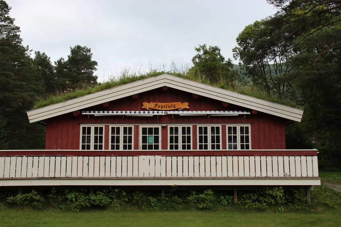 fuglevag-camping-alvundfjord-a3byi