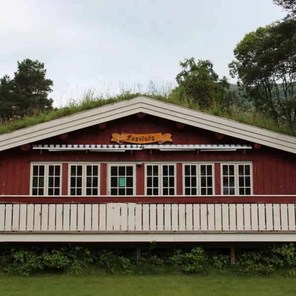 fuglevag-camping-alvundfjord-a3byi
