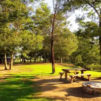 khomeesdrif-camping-site-5km-on-the-r406-2km-outside-riviersonderend-4kgci