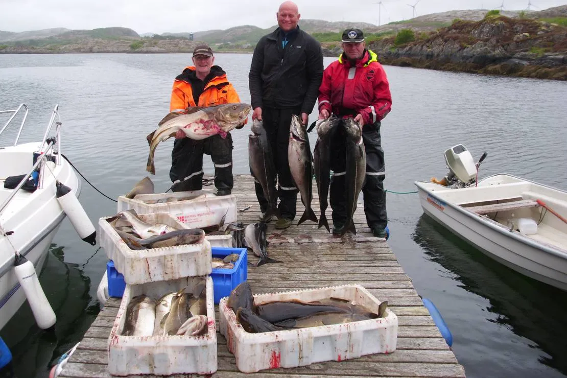skjaergardscamping-rorvik-axo5o