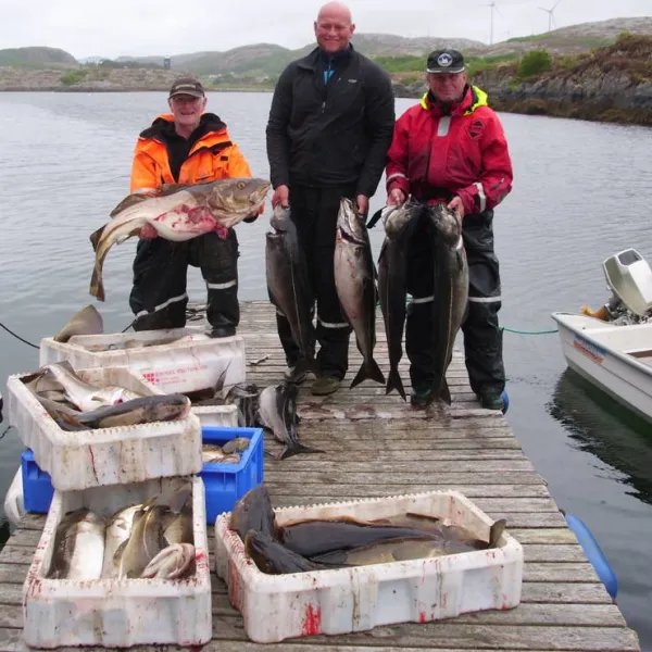 skjaergardscamping-rorvik-axo5o