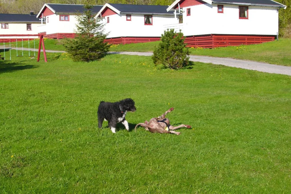 skjaergardscamping-rorvik-bhwco
