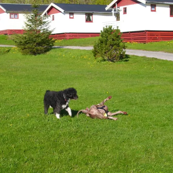 skjaergardscamping-rorvik-bhwco