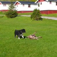 skjaergardscamping-rorvik-bhwco