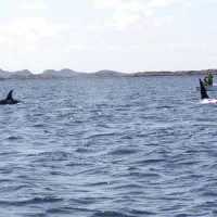 skjaergardscamping-rorvik-y3vgo