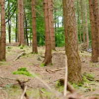 outdoor-camping-barvaux-barvaux-sur-ourthe-2xpee