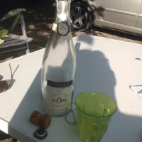 de-chamarges-die-zeocl