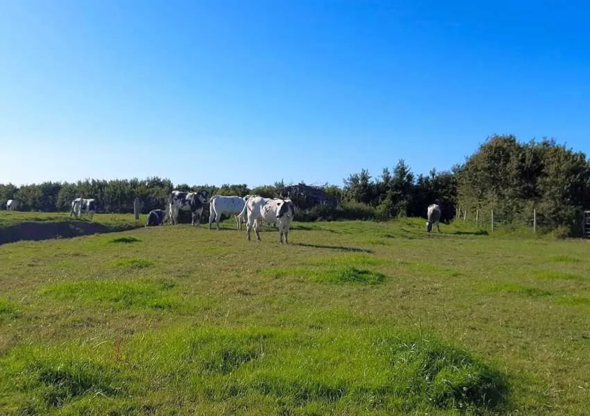 tarka-trail-camping-barnstaple-wncn6