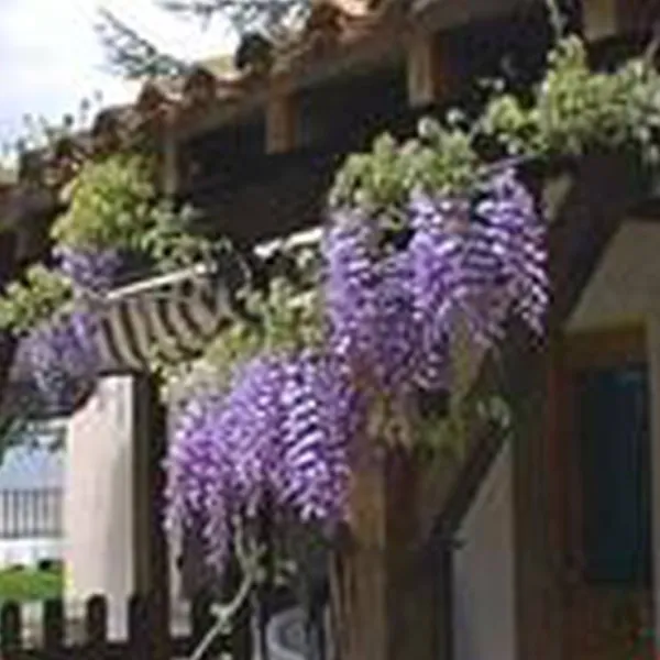 camping-clos-des-oiseaux-penne-dagenais-gzyjk