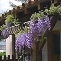camping-clos-des-oiseaux-penne-dagenais-gzyjk