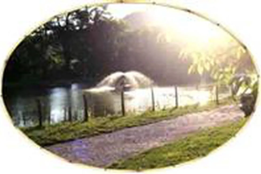 camping-clos-des-oiseaux-penne-dagenais-svssp