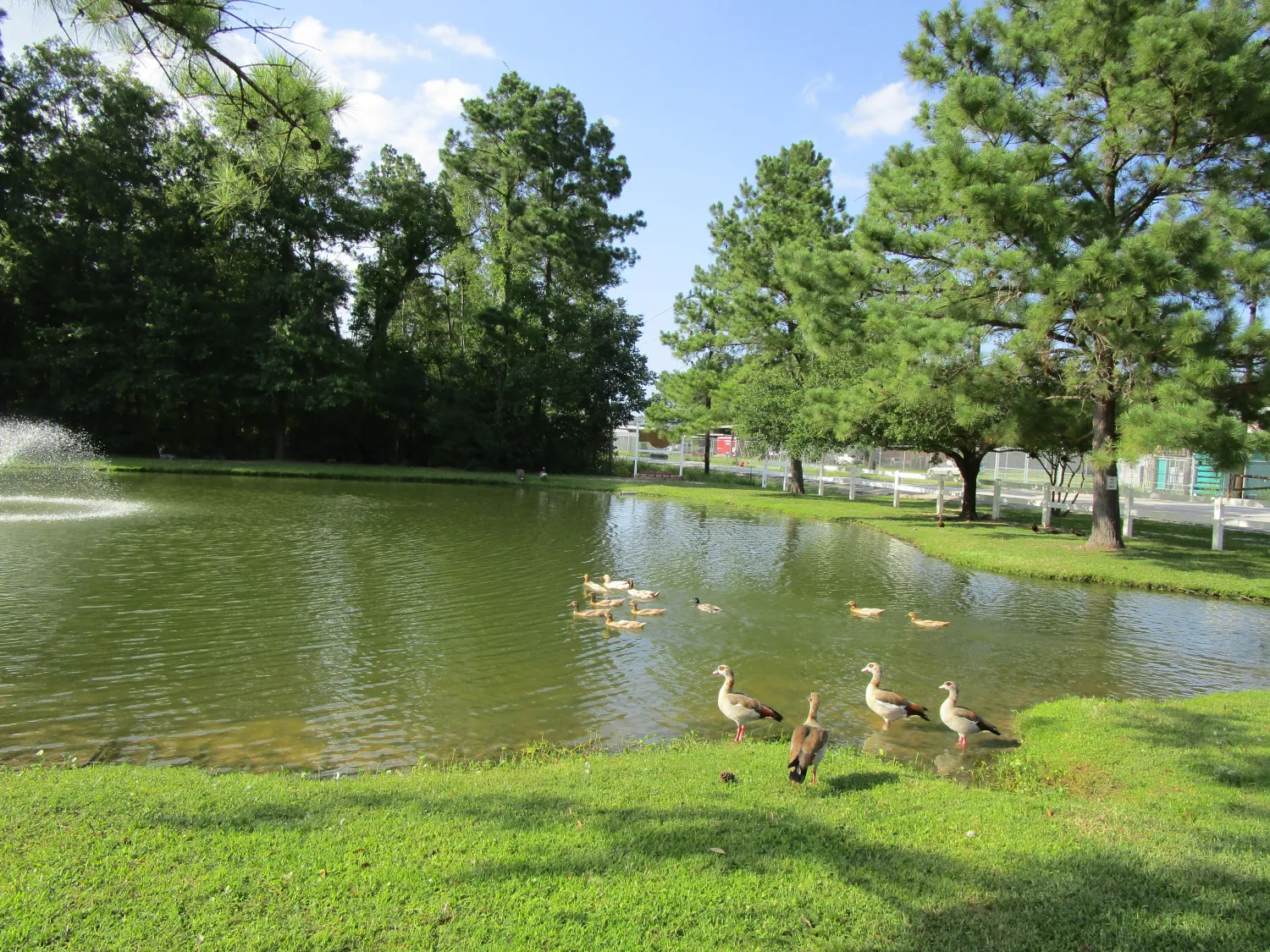 woodland-lakes-rv-park-conre-o58mj